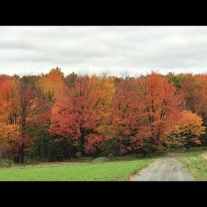 Meet your Posher, Tasha